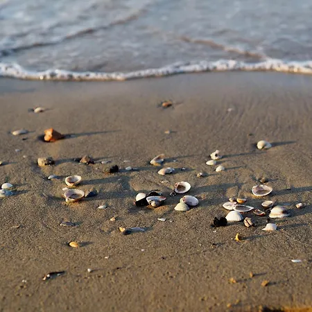 Fabulous In A Peaceful Area - Beahost * Bibione
